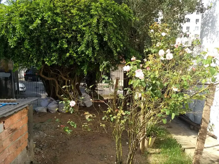 Casa com 3 quartos à venda, 110m2 em Jardim Nova Germania, São Paulo - SP - imagem 5 Foto 5 de Casa com 3 quartos à venda, 110m2 em Jardim Nova Germania, São Paulo - SP