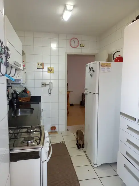 Foto 6 de Apartamento com 2 quartos à venda, 58m2 em Cidade Ademar, São Paulo - SP