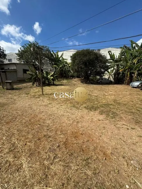 Foto 3 de Terreno / Lote à venda, 4000m2 em Sarzedo - MG