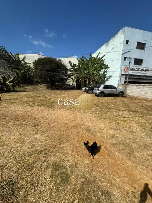 Foto 2 de Terreno / Lote à venda, 4000m2 em Sarzedo - MG