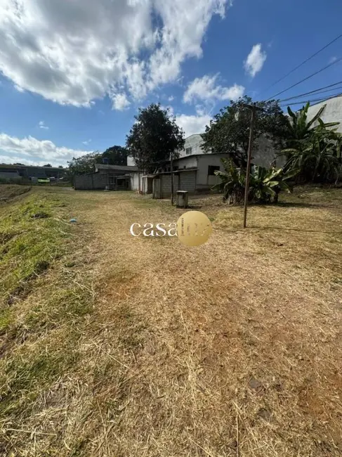 Foto 5 de Terreno / Lote à venda, 4000m2 em Sarzedo - MG