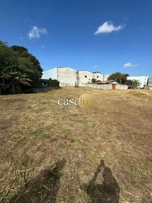 Foto 9 de Terreno / Lote à venda, 4000m2 em Sarzedo - MG