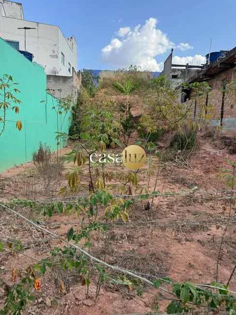 Foto 6 de Terreno / Lote à venda, 250m2 em Sarzedo - MG