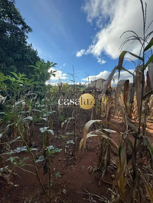 Foto 7 de Chácara com 1 quarto à venda, 1000m2 em Sarzedo - MG