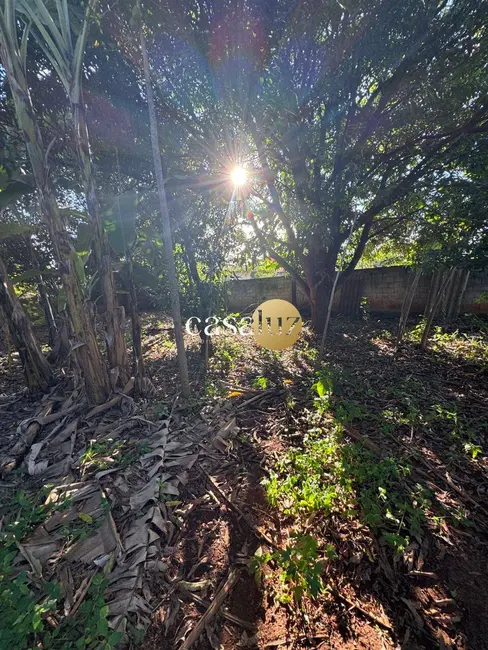 Foto 5 de Chácara com 1 quarto à venda, 1000m2 em Sarzedo - MG