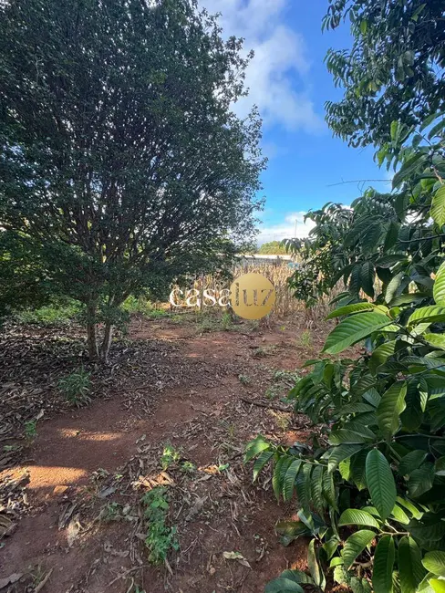 Foto 3 de Chácara com 1 quarto à venda, 1000m2 em Sarzedo - MG