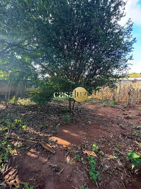 Foto 4 de Chácara com 1 quarto à venda, 1000m2 em Sarzedo - MG