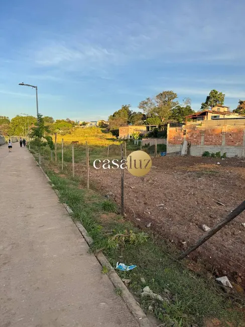 Terreno / Lote à venda, 500m2 em Tirol (Barreiro), Belo Horizonte - MG - imagem 7 Foto 7 de Terreno / Lote à venda, 500m2 em Tirol (Barreiro), Belo Horizonte - MG