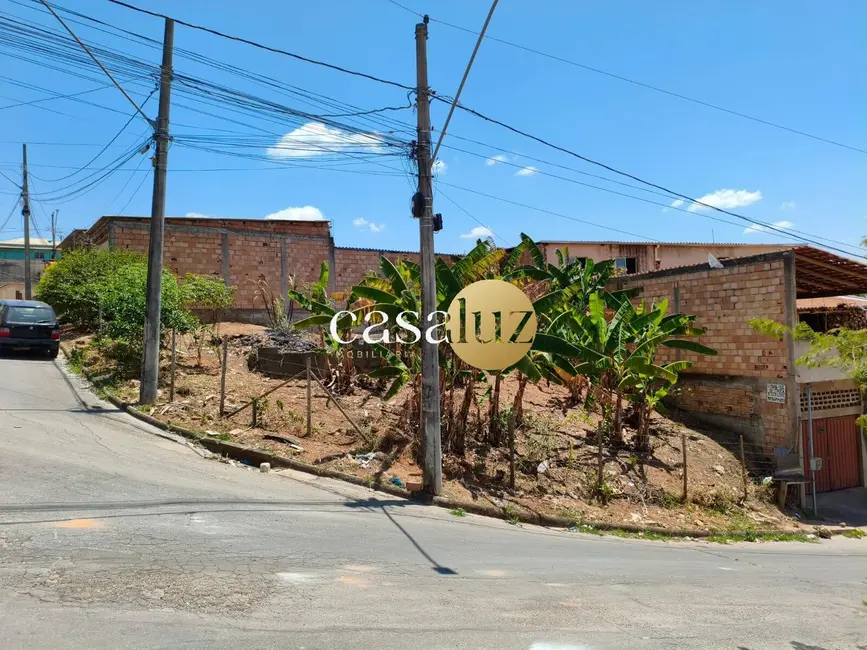 Foto 1 de Terreno / Lote à venda, 255m2 em Sarzedo - MG