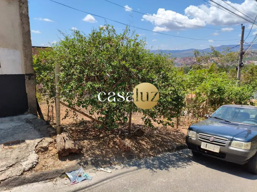 Foto 3 de Terreno / Lote à venda, 255m2 em Sarzedo - MG