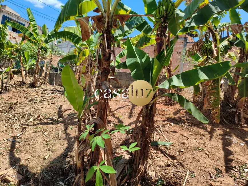 Foto 8 de Terreno / Lote à venda, 255m2 em Sarzedo - MG
