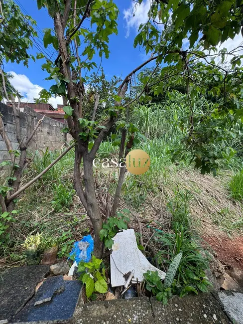 Foto 6 de Terreno / Lote à venda, 679m2 em Vila Pinheiros, Ibirite - MG