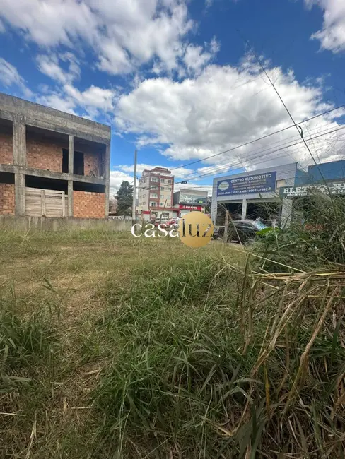 Terreno / Lote à venda, 373m2 em Centro, Sarzedo - MG - imagem 3 Foto 3 de Terreno / Lote à venda, 373m2 em Centro, Sarzedo - MG