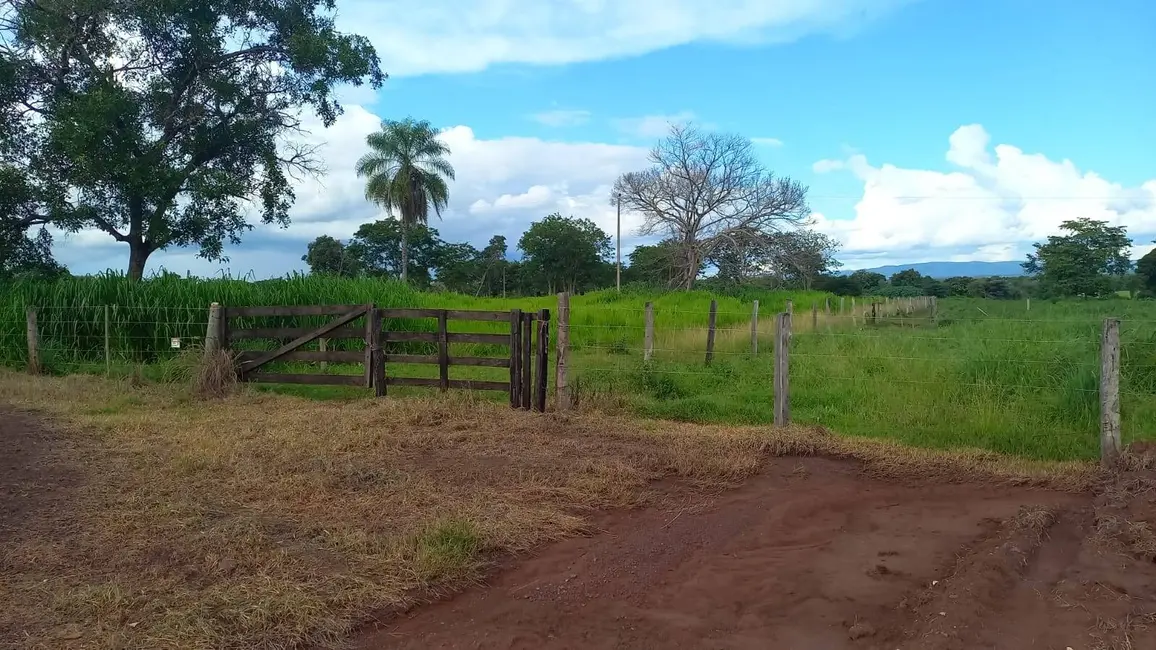 Foto 2 de Fazenda / Haras à venda, 290m2 em Acorizal - MT