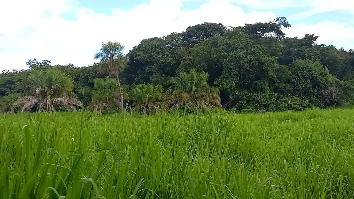 Foto 6 de Fazenda / Haras à venda, 290m2 em Acorizal - MT