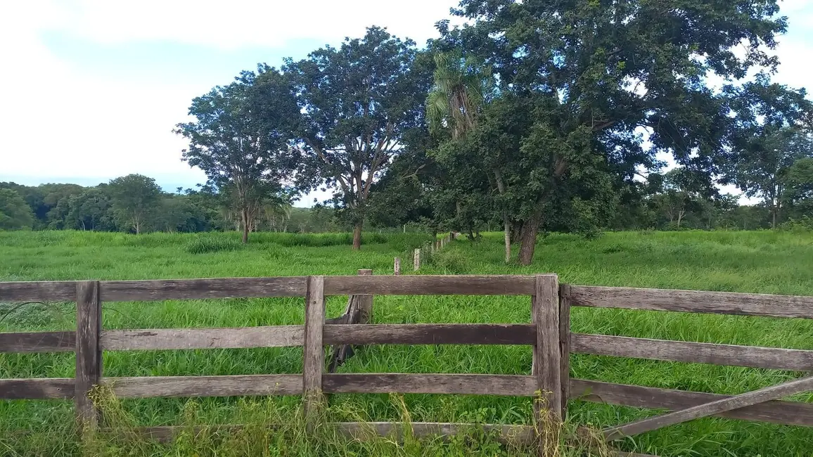 Foto 8 de Fazenda / Haras à venda, 290m2 em Acorizal - MT