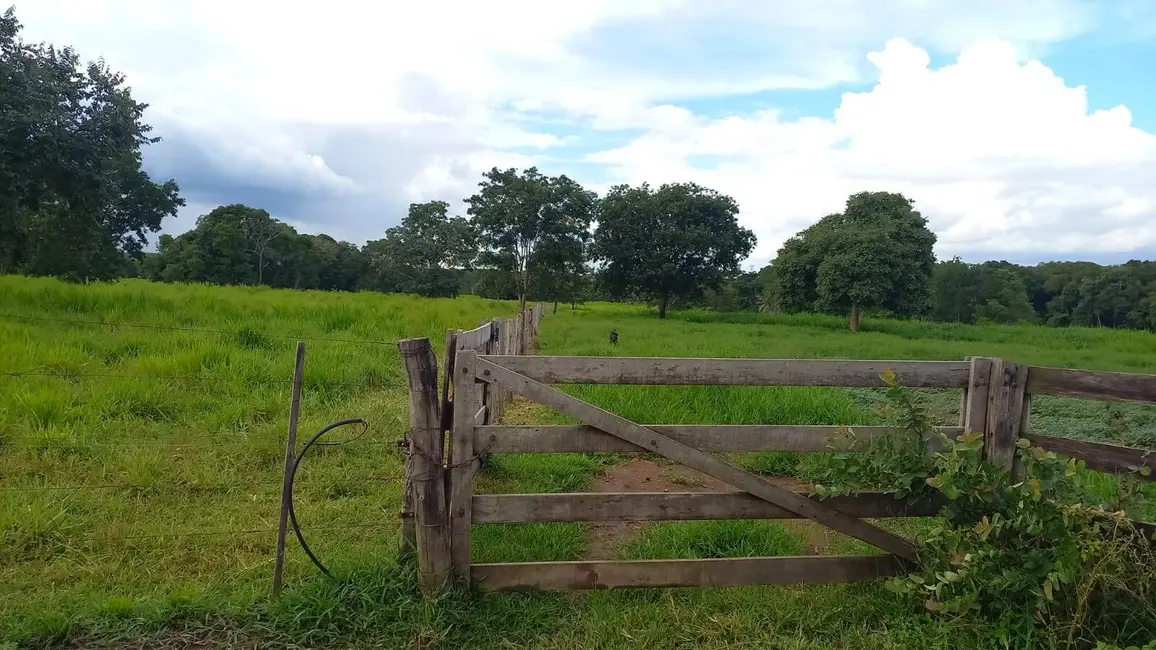 Foto 7 de Fazenda / Haras à venda, 290m2 em Acorizal - MT