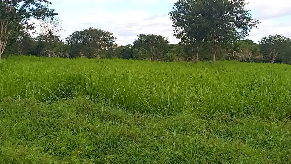 Foto 5 de Fazenda / Haras à venda, 290m2 em Acorizal - MT