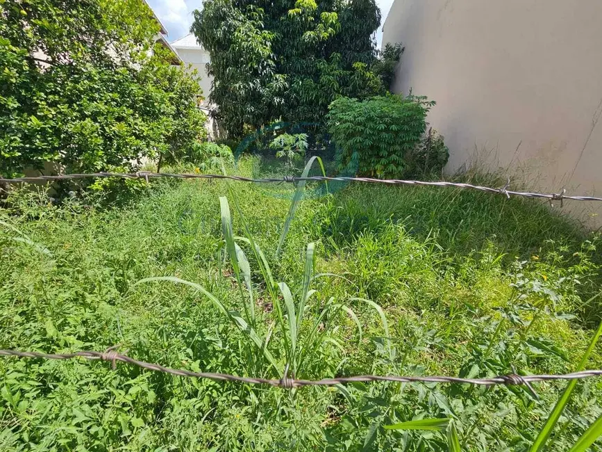 Foto 8 de Terreno / Lote à venda, 250m2 em Jardim Regina, Indaiatuba - SP
