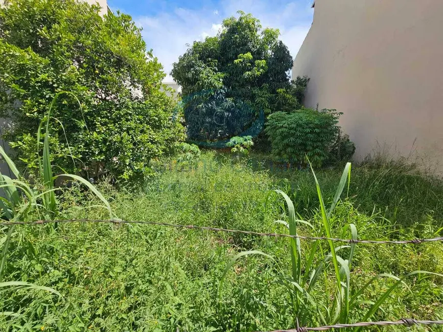 Foto 7 de Terreno / Lote à venda, 250m2 em Jardim Regina, Indaiatuba - SP