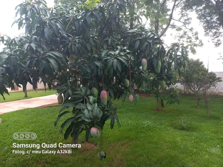 Chácara com 4 quartos à venda, 1200m2 em Guarulhos - SP - imagem 5 Foto 5 de Chácara com 4 quartos à venda, 1200m2 em Guarulhos - SP
