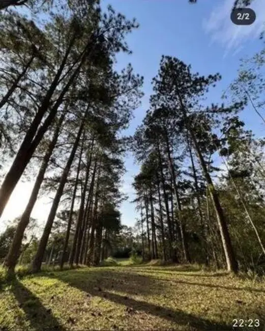 Foto 2 de Terreno / Lote à venda, 75000m2 em Guarulhos - SP