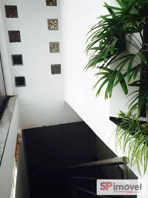 Foto 6 de Sala Comercial para alugar, 750m2 em Vila Amália (Zona Norte), São Paulo - SP