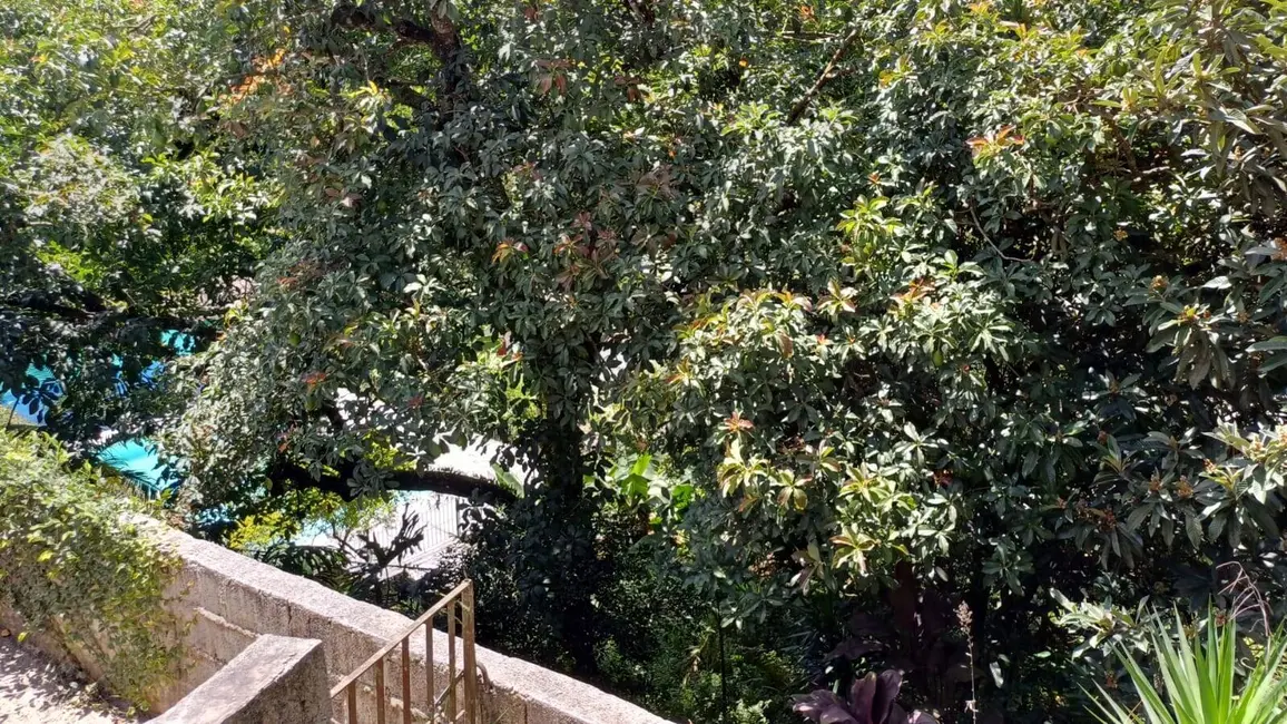 Chácara com 3 quartos à venda, 1600m2 em Guarulhos - SP - imagem 6 Foto 6 de Chácara com 3 quartos à venda, 1600m2 em Guarulhos - SP