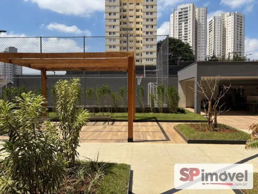 Apartamento com 3 quartos para alugar em Vila Gomes Cardim, São Paulo - SP - imagem 8 Foto 8 de Apartamento com 3 quartos para alugar em Vila Gomes Cardim, São Paulo - SP