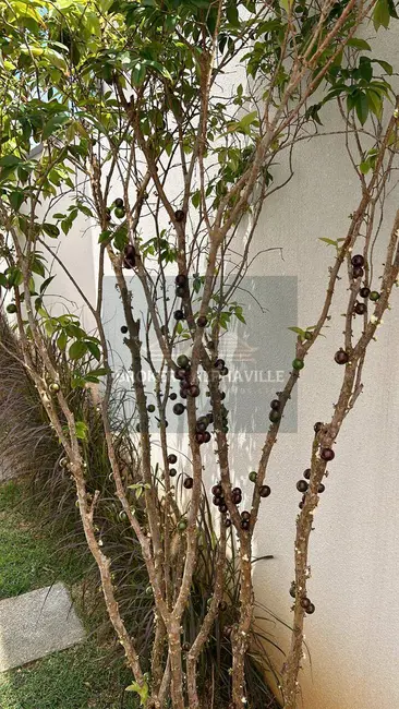 Foto 4 de Casa de Condomínio com 4 quartos à venda, 456m2 em Alphaville, Santana De Parnaiba - SP