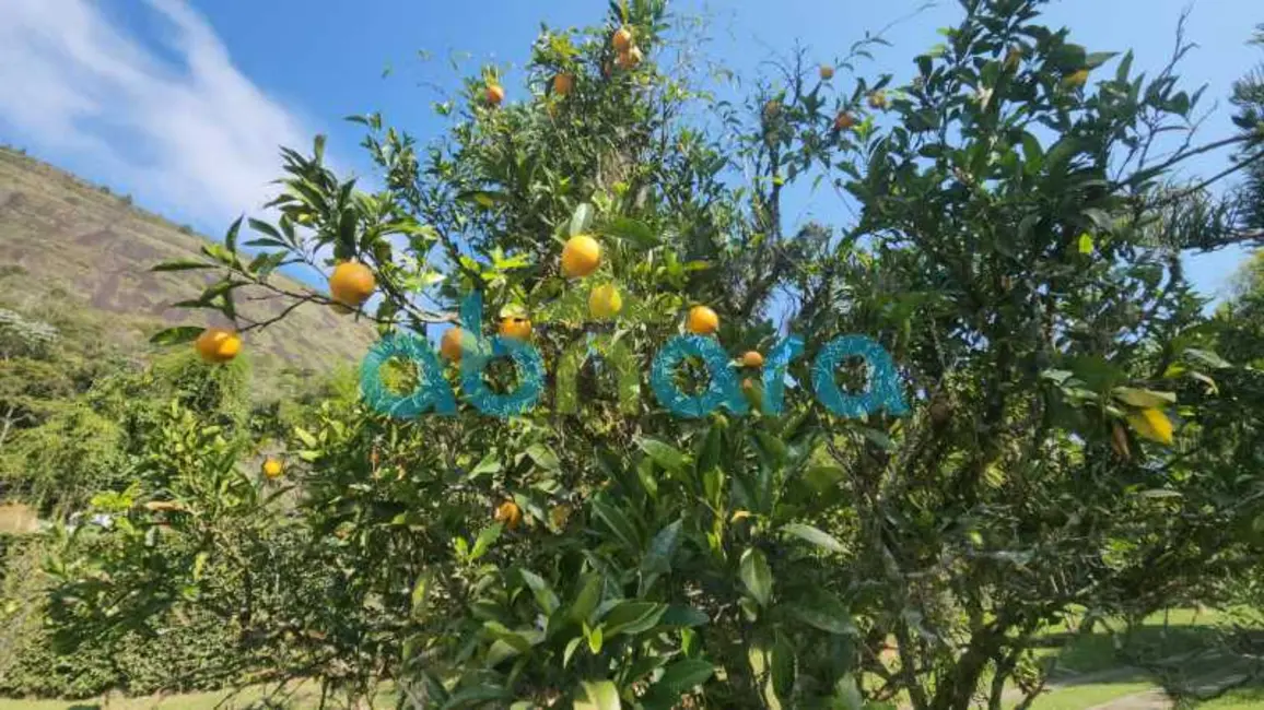 Foto 9 de Chácara com 5 quartos à venda, 5000m2 em Petropolis - RJ