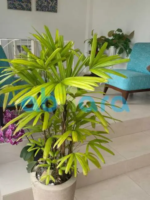 Foto 5 de Cobertura com 4 quartos à venda, 280m2 em Rio De Janeiro - RJ