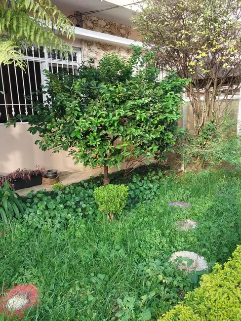 Foto 2 de Casa com 3 quartos à venda, 170m2 em Vila Granada, São Paulo - SP