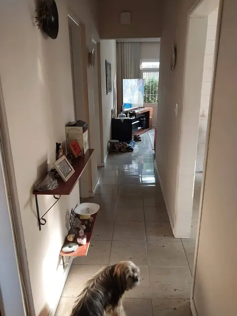 Foto 6 de Casa com 3 quartos à venda, 170m2 em Vila Granada, São Paulo - SP