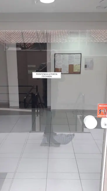 Foto 9 de Apartamento com 2 quartos para alugar, 38m2 em Parque das Paineiras, São Paulo - SP