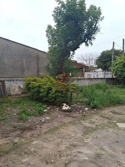Foto 9 de Casa com 3 quartos à venda em Imbe - RS