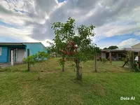 Imagem 6