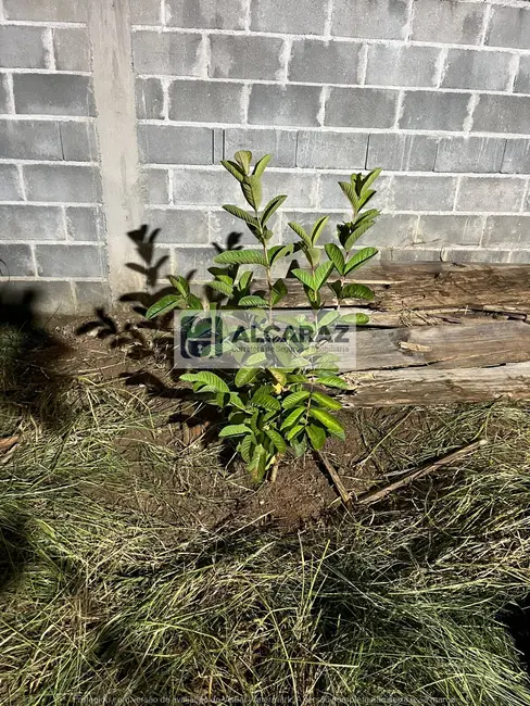 Foto 5 de Terreno / Lote à venda, 188m2 em Jardim Altos de Santana I, Jacarei - SP