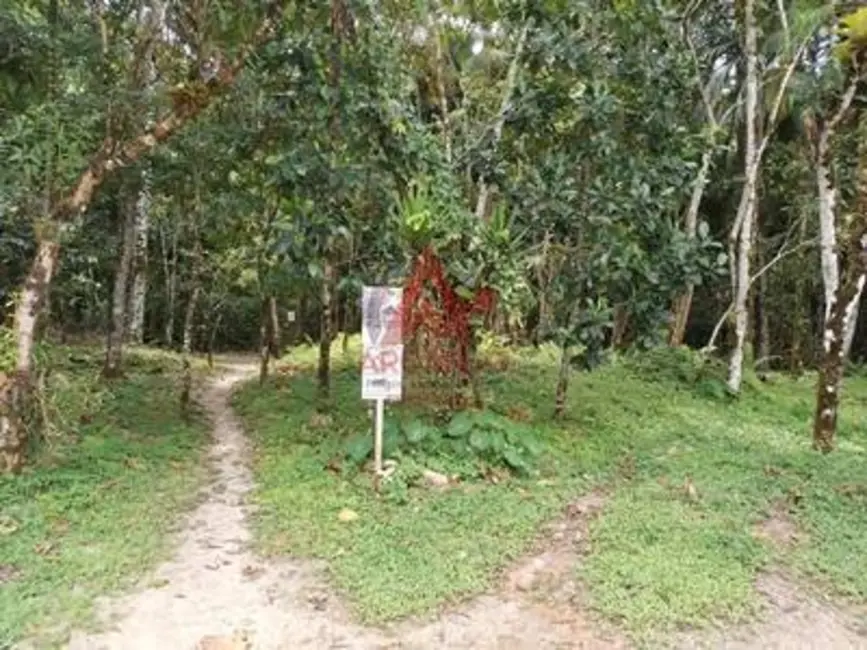 Terreno / Lote à venda, 1170m2 em Ubatuba - SP - imagem 9 Foto 9 de Terreno / Lote à venda, 1170m2 em Ubatuba - SP