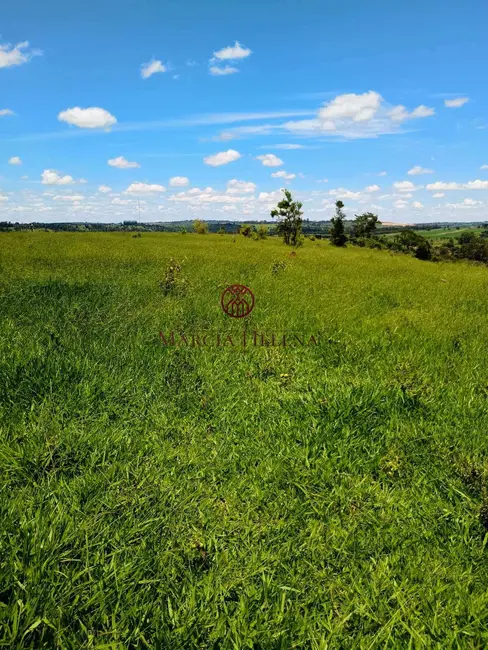 Foto 17 de Fazenda / Haras à venda em Itapetininga - SP
