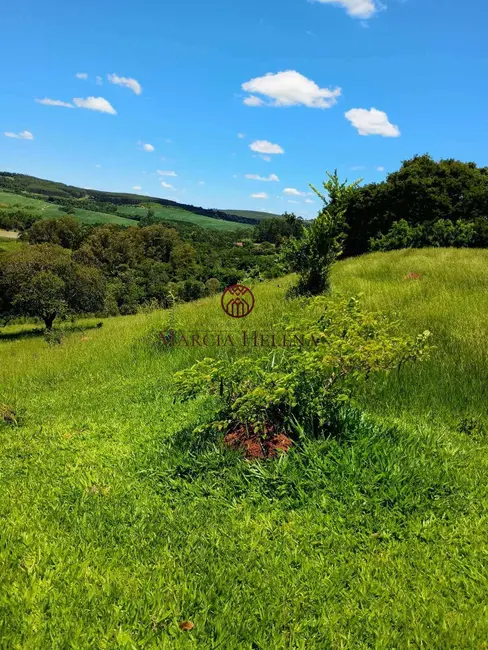 Foto 15 de Fazenda / Haras à venda em Itapetininga - SP