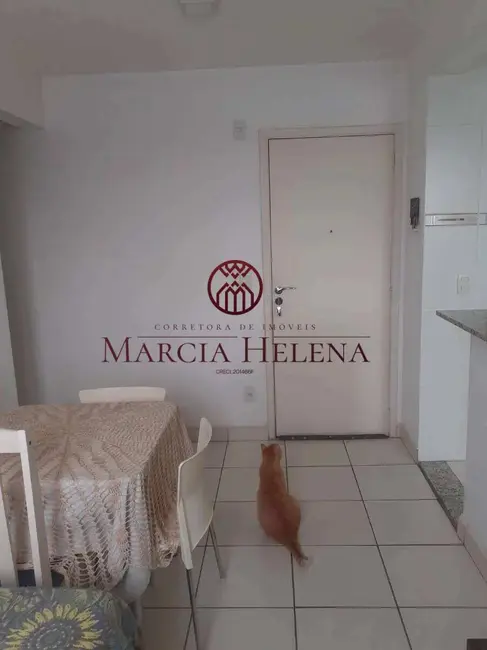 Apartamento com 2 quartos à venda, 48m2 em Jardim Nova Europa, Campinas - SP - imagem 3 Foto 3 de Apartamento com 2 quartos à venda, 48m2 em Jardim Nova Europa, Campinas - SP