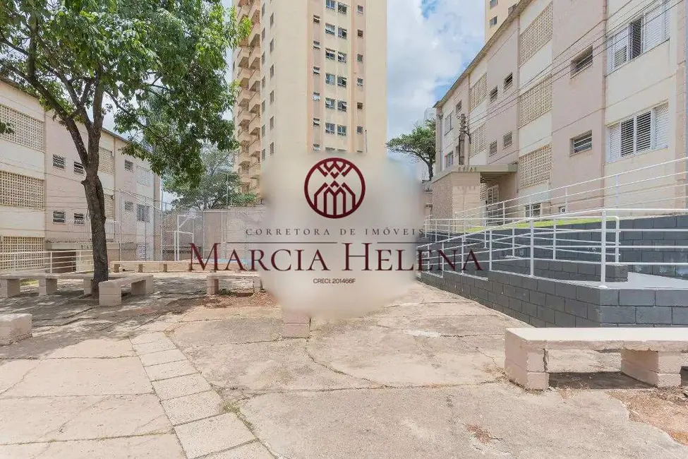 Foto 3 de Apartamento com 3 quartos à venda, 68m2 em Vila Santana, Campinas - SP