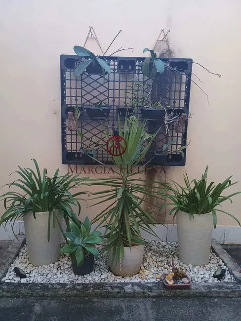 Foto 5 de Casa com 4 quartos à venda, 520m2 em Jardim Nova Mercedes, Campinas - SP