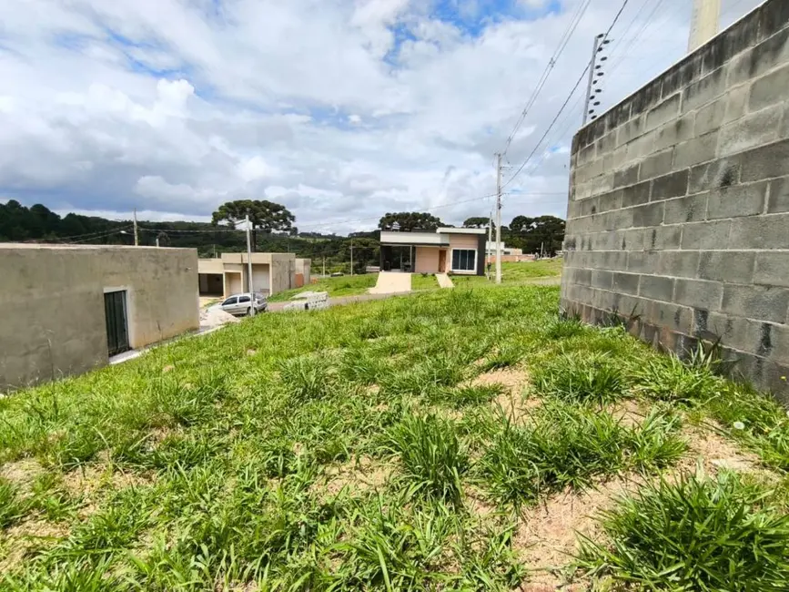 Terreno / Lote à venda, 288m2 em Paloma, Colombo - PR - imagem 5 Foto 5 de Terreno / Lote à venda, 288m2 em Paloma, Colombo - PR