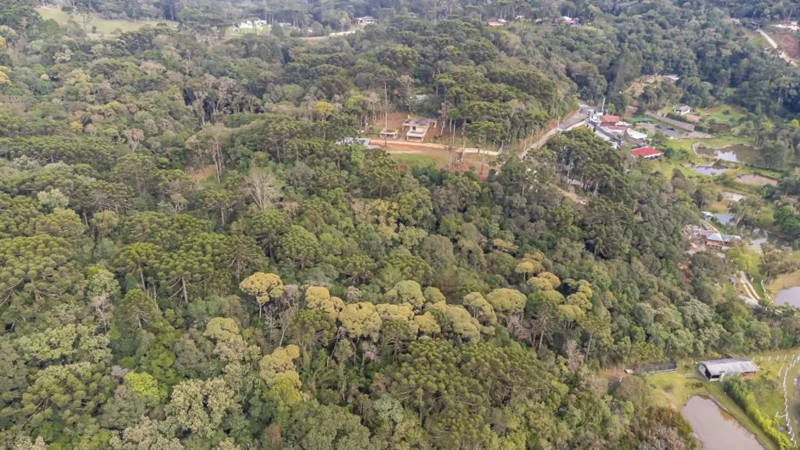 Foto 6 de Terreno / Lote à venda, 5000m2 em Quatro Barras - PR