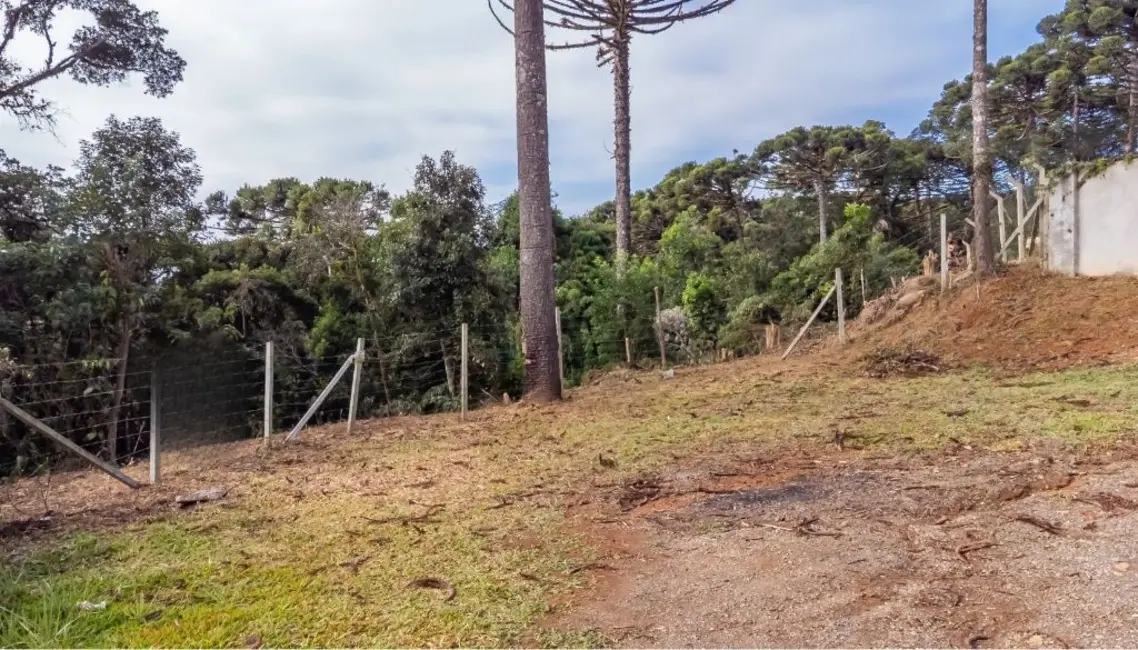 Foto 2 de Terreno / Lote à venda, 5000m2 em Quatro Barras - PR