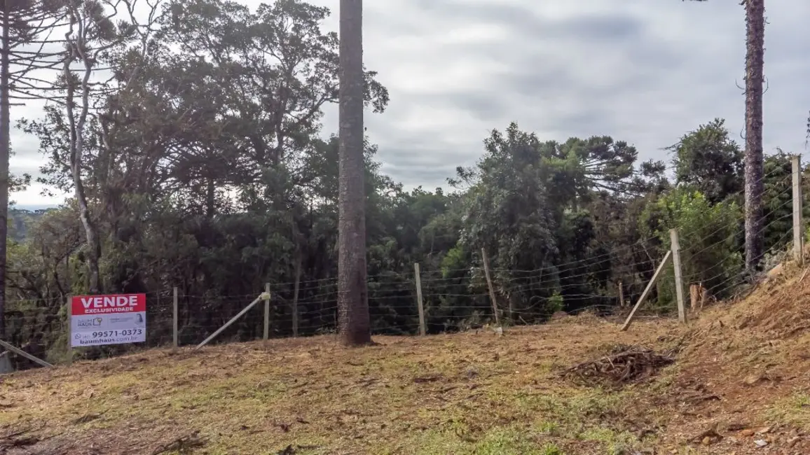 Foto 5 de Terreno / Lote à venda, 5000m2 em Quatro Barras - PR