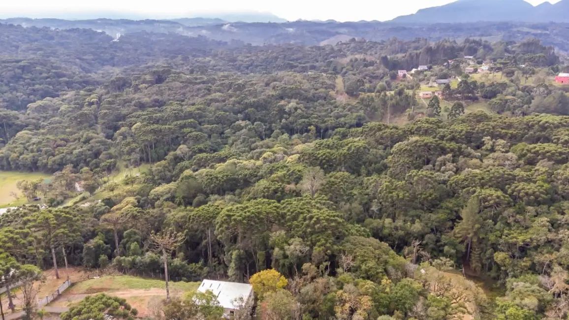 Foto 9 de Terreno / Lote à venda, 5000m2 em Quatro Barras - PR