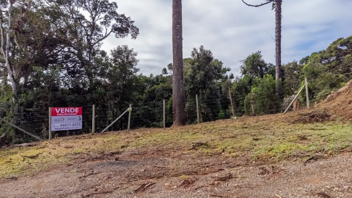 Foto 3 de Terreno / Lote à venda, 5000m2 em Quatro Barras - PR